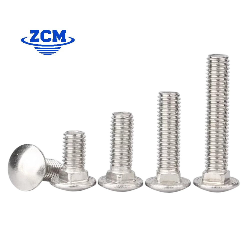 Stainless steel carriage bolts ascending sizes by ZCM